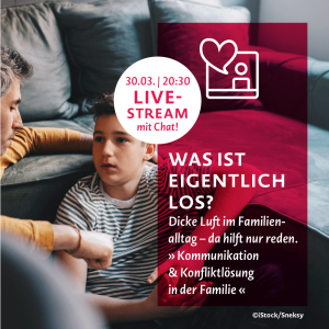 Web-Coaching Konfliktlösung