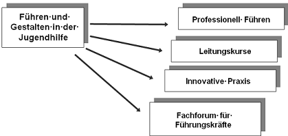 Beschreibung Grafik: Führen und Gestalten in der Jugendlhilfe 