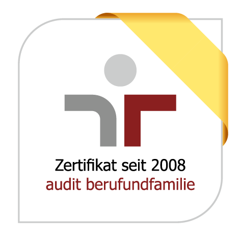 Audit Bf Rz 2008 De Rgb